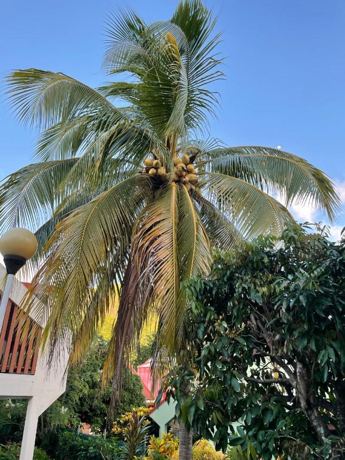 Residence Sucrerie Motel - Les Anses-D'Arlets - Martinique Kültér fotó